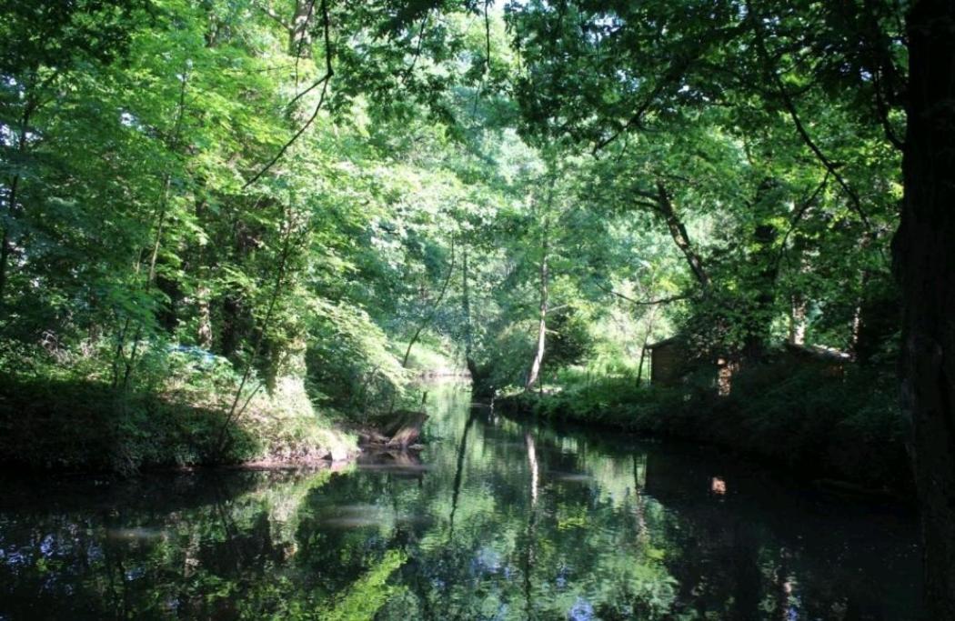 Spreewald Ferienwohnung Noack Lübben Exterior foto